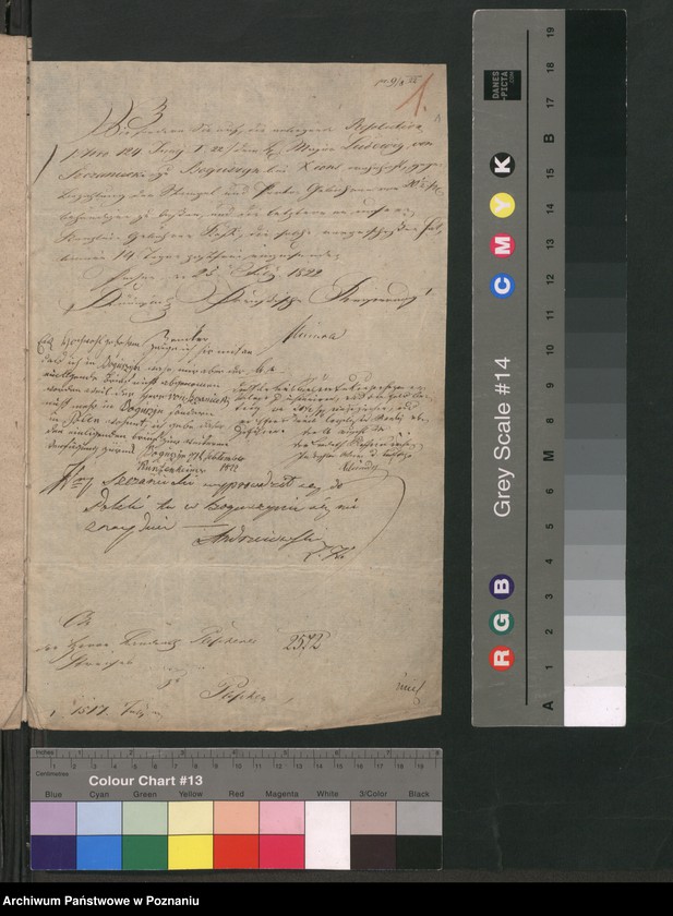 Obraz 4 z jednostki "A. betr. den Auswanderung des Oberstleutnant Ludwik von Sczaniecki zu Boguszyn ohne Emigrationspass"