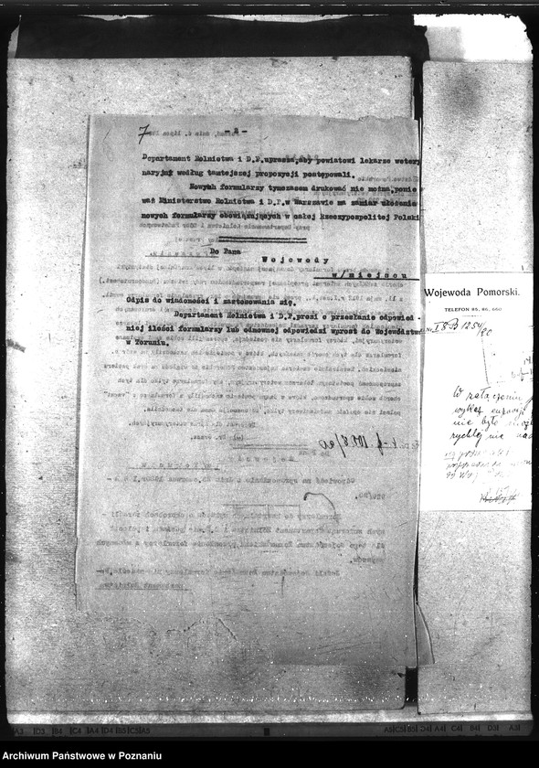 Obraz 11 z jednostki "Wykazy chorób zaraźliwych [kwartalne]"