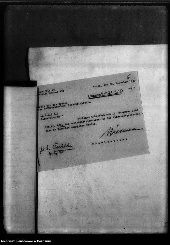 Obraz 10 z jednostki "Wilhelm Karl Pochlke aus Bielsk bei Schönsee, Kreis Briesen/ Westpreussen (Wąbrzeźno)"