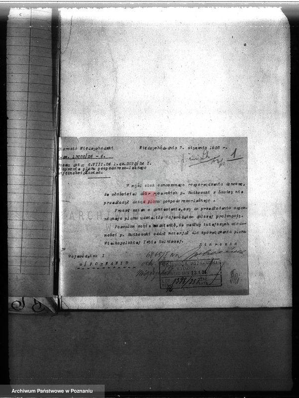 Obraz 5 z jednostki "Majętność leśna Ławica w powiecie międzychodzkim /nadzór nad gospodarką leśną/"