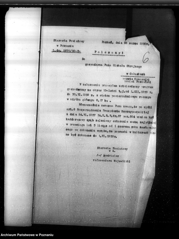 Obraz 11 z jednostki "Program urządzenia gospodarstwa leśnego dla lasu Michała Strojnego w gminie Gołuski powiat poznański 1929-1939"