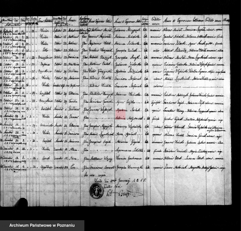Obraz 4 z jednostki "Liber baptisatorum, copulatorum et mortuorum"
