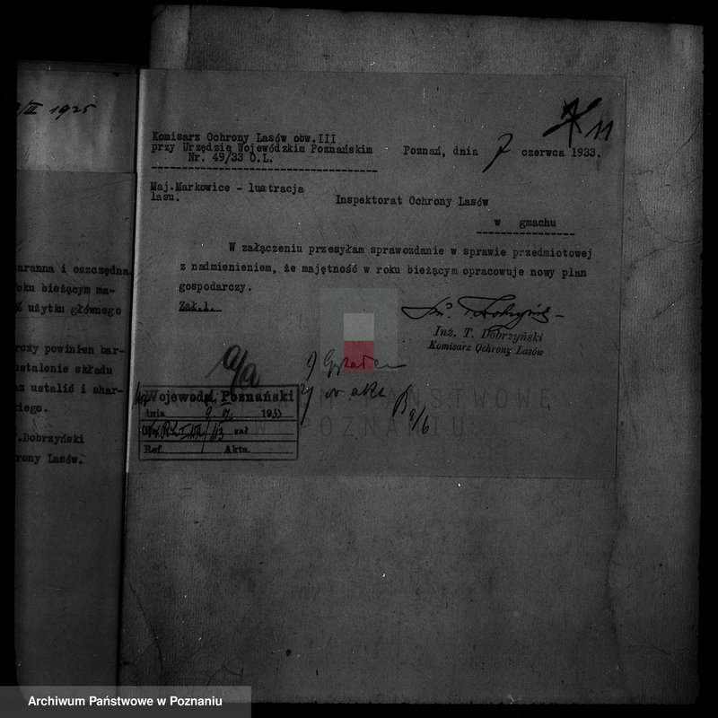 Obraz 16 z jednostki "Nadzór nad gospodarką w lasach majętności Markowice powiat mogileński"