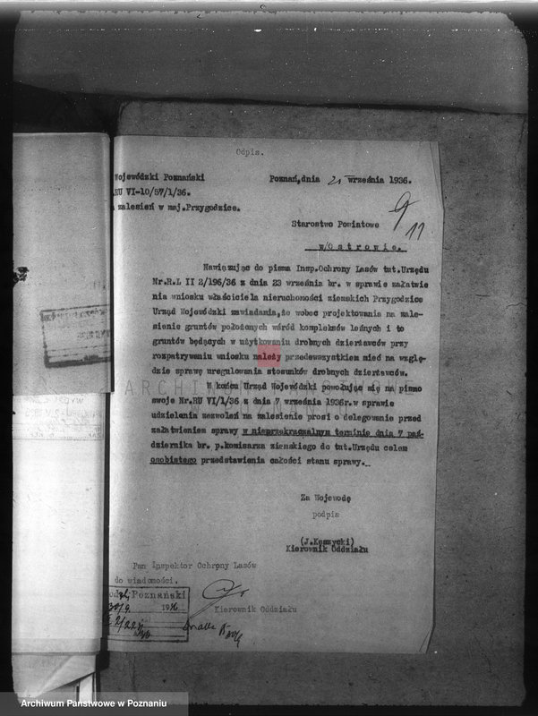 Obraz 15 z jednostki "Majętność /leśna/ Przygodzice w powiecie ostrowskim"