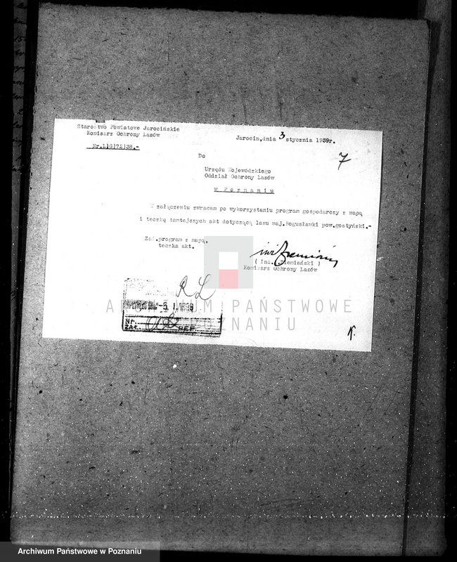 Obraz 10 z jednostki "Nadzór nad gospodarką w lasach majątku Bogusławek w powiecie gostyńskim"