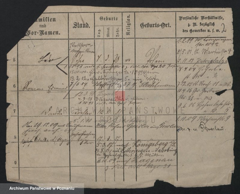 Obraz 2 z jednostki "Kreczman - Krenauer"