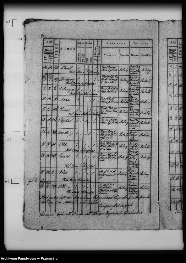 Obraz 17 z jednostki "[Kopie ksiąg metrykalnych parafii Nahujowice (dekanat Drohobycz)]"