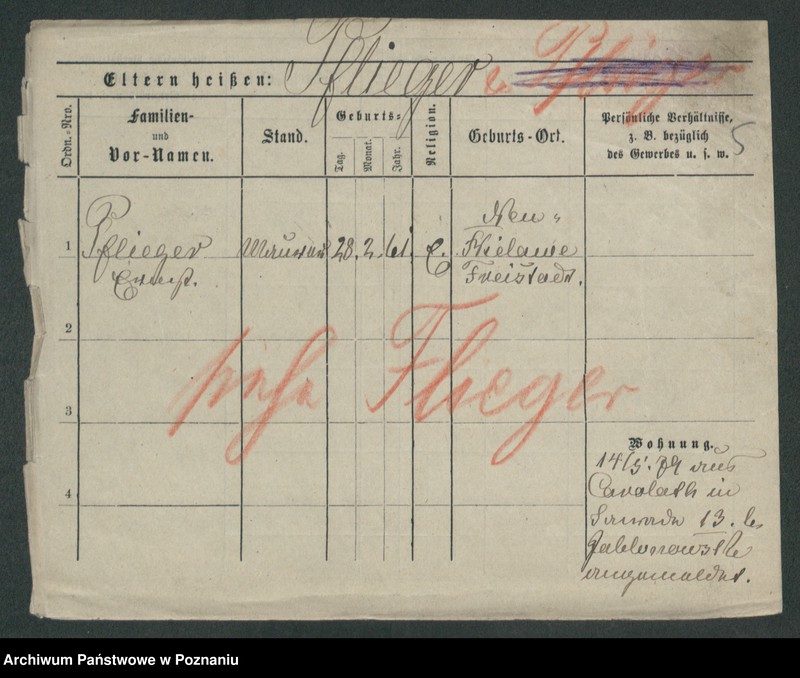 Obraz 7 z jednostki "Pflieger - Piasecki"