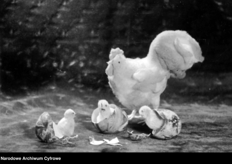 image.from.unit "Stroik - kura i kurczaki wykluwające się z jajek"