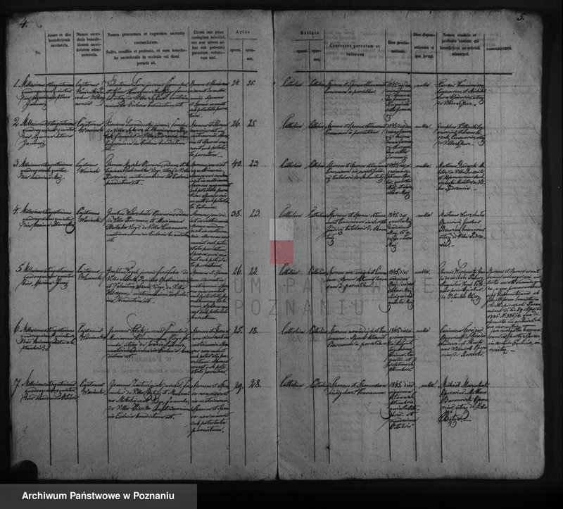 Obraz 5 z jednostki "Duplicat copulatorum, baptisatorum, mortuorum"