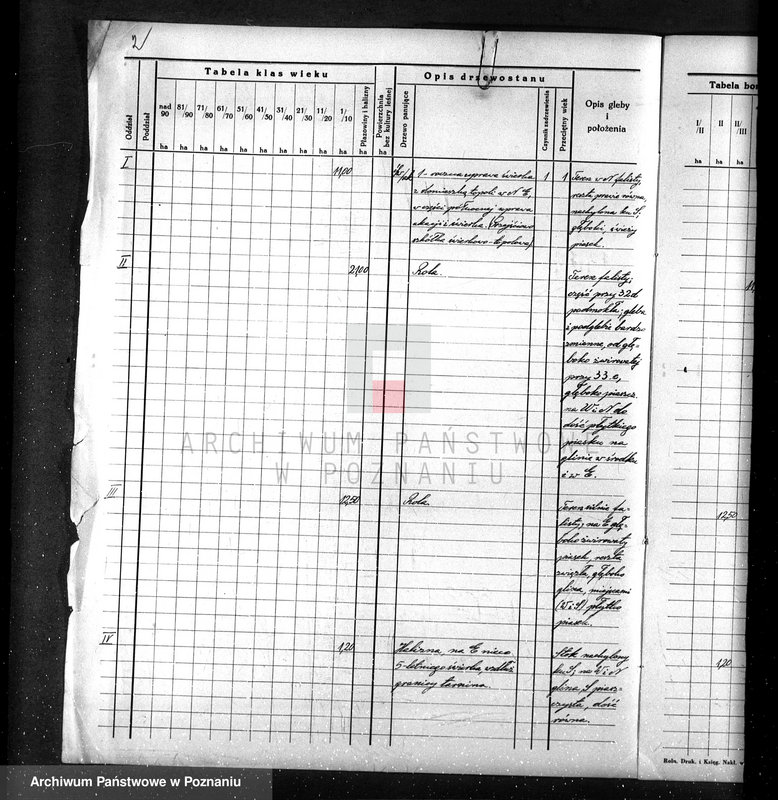 Obraz 6 z jednostki "Dodatkowy plan do planu urządzania gospodarstwa leśnego dla lasu majętności Lubasz w powiecie czarnkowskim"