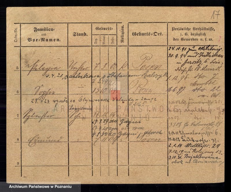 Obraz 18 z jednostki "Chudysiewicz - Chyczewski"