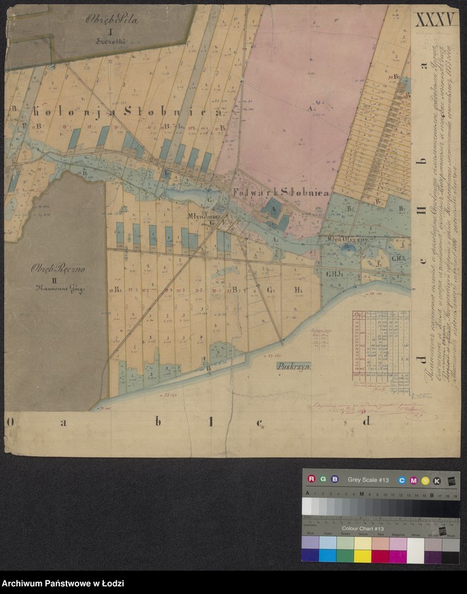 Obraz 5 z jednostki "Pierworys Urządzenia Dóbr Rządowych Stobnica ..."