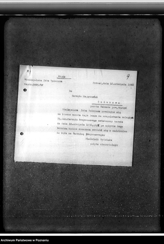 Obraz 13 z jednostki "Majętność leśna Godurowo w powiecie gostyńskim"