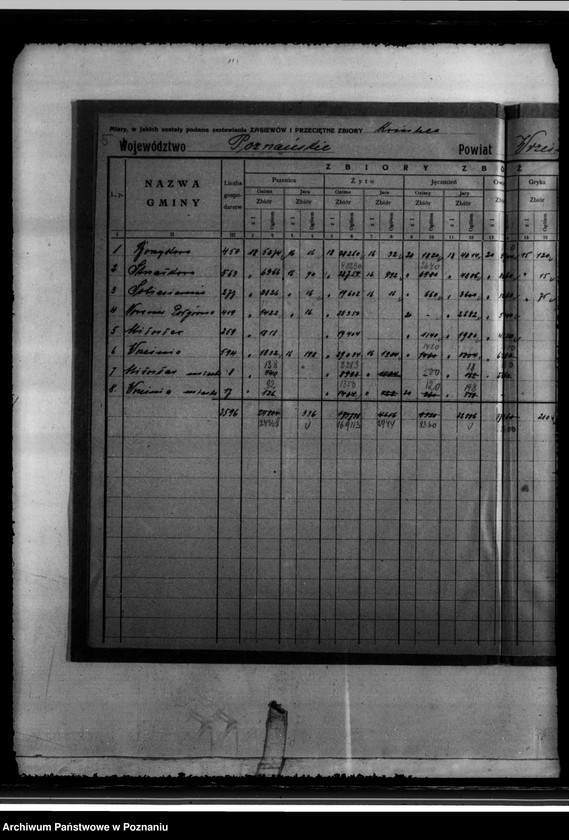 Obraz 9 z jednostki "/Statystyka produkcji rolnej - zestawienie powiatowe - Września/"
