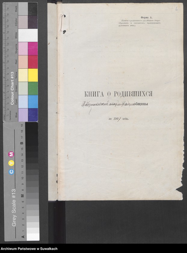 Obraz z jednostki "Kniga o rodivŝichsja Vodzilkovskoj staroobrzdčeskoj obščiny za 1907 god"