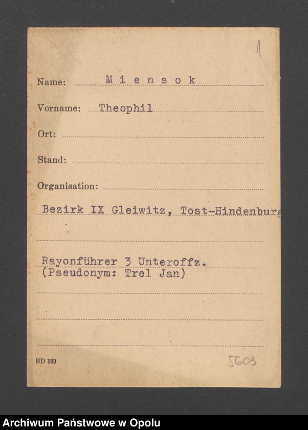 Obraz 3 z jednostki "[Miensok Theophil, Gleiwitz]"