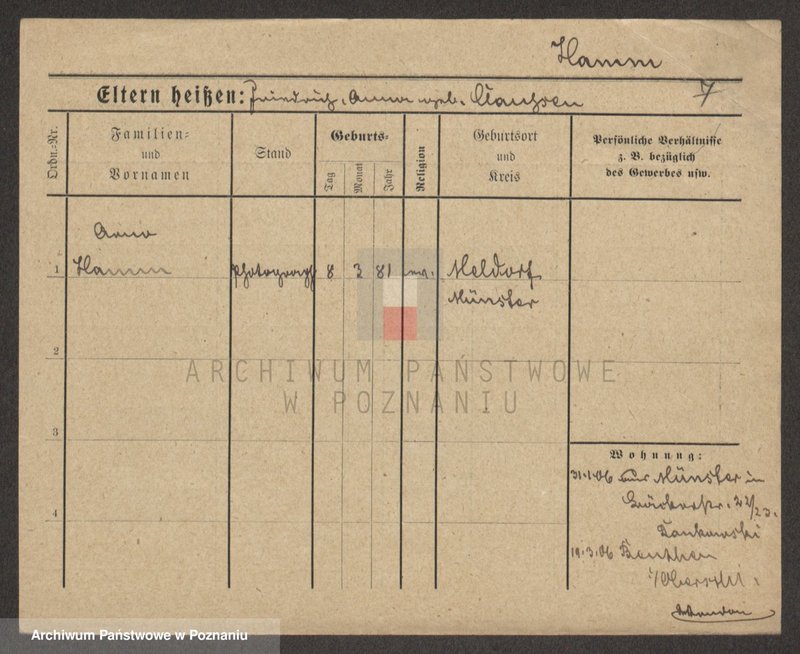 Obraz 7 z jednostki "Ham - Hamzykiewicz"