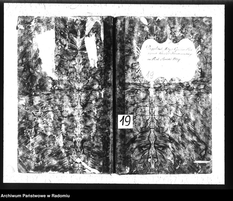 image.from.unit.number "Dupplikat metryk religijno - cywilnych kościoła Głowaczewskiego na Rok Pański 1829"