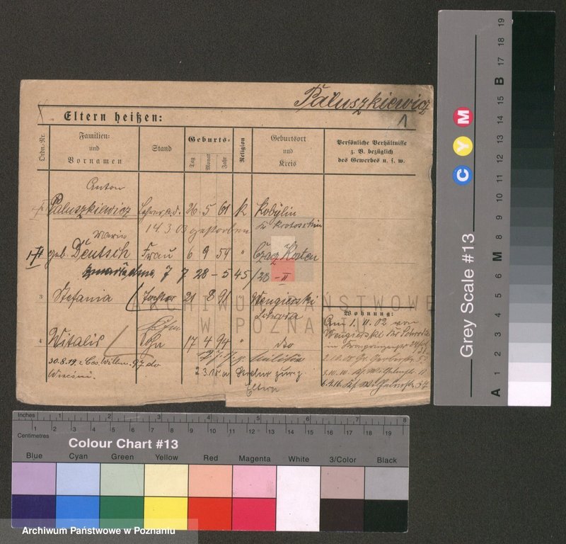 Obraz 1 z jednostki "Paluszkiewicz Pankow"