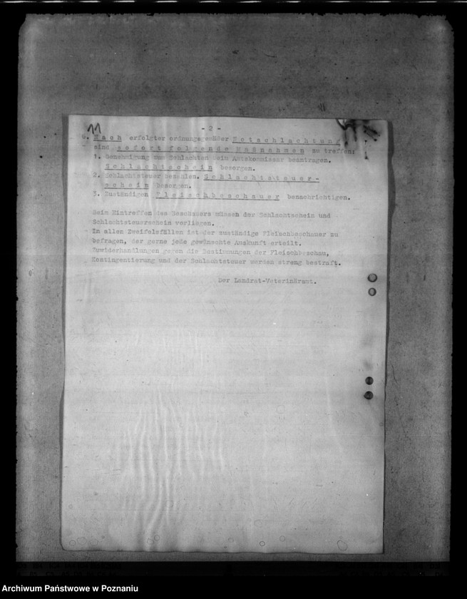 Obraz 15 z jednostki "Notschlachtungen"