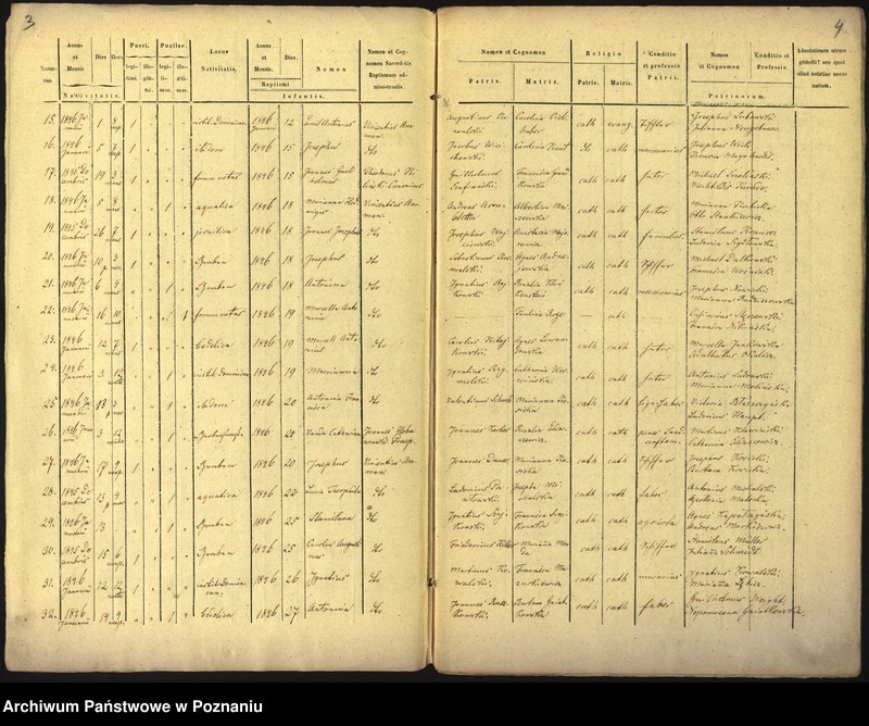 Obraz 4 z jednostki "Księga urodzin"