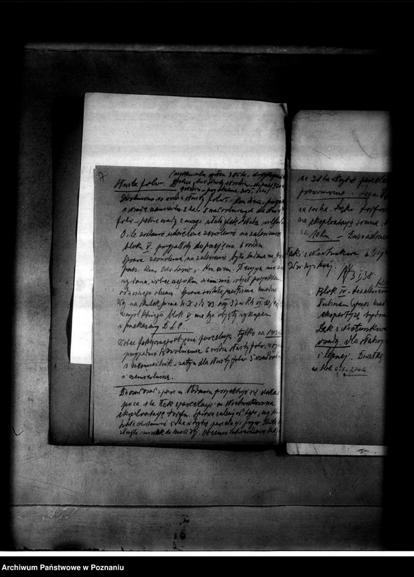 Obraz 12 z jednostki "Podanin - parcelacja majątku"