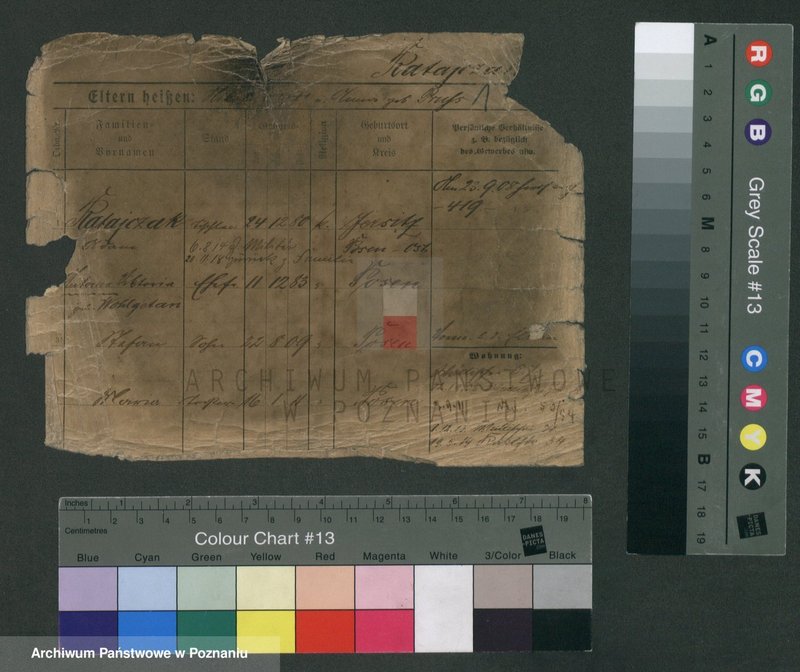 Obraz 3 z jednostki "Ratajczak (żonaci) - Ratajczyk"