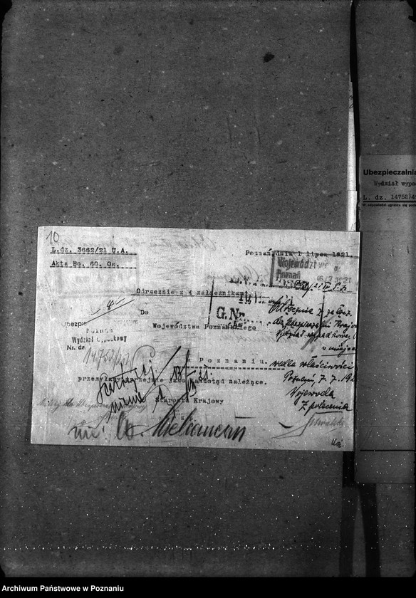 image.from.unit.number "Sprawy osobowe nieszczęśliwe wypadki w stadninach personalia ogólne"