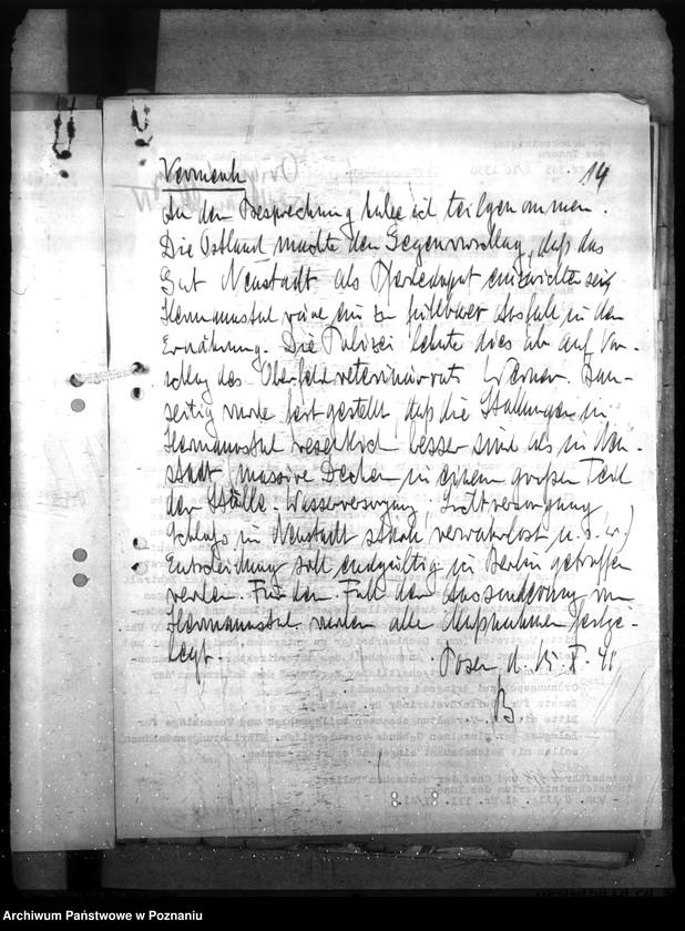 Obraz 18 z jednostki "Pferdedepot der Polizei - Hermanntal bei Neustadt (Posadowo, powiat Nowy Tomyśl) I"