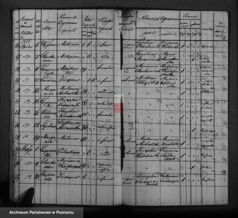image.from.unit.number "Księga urodzeń, małżeństw i zgonów"