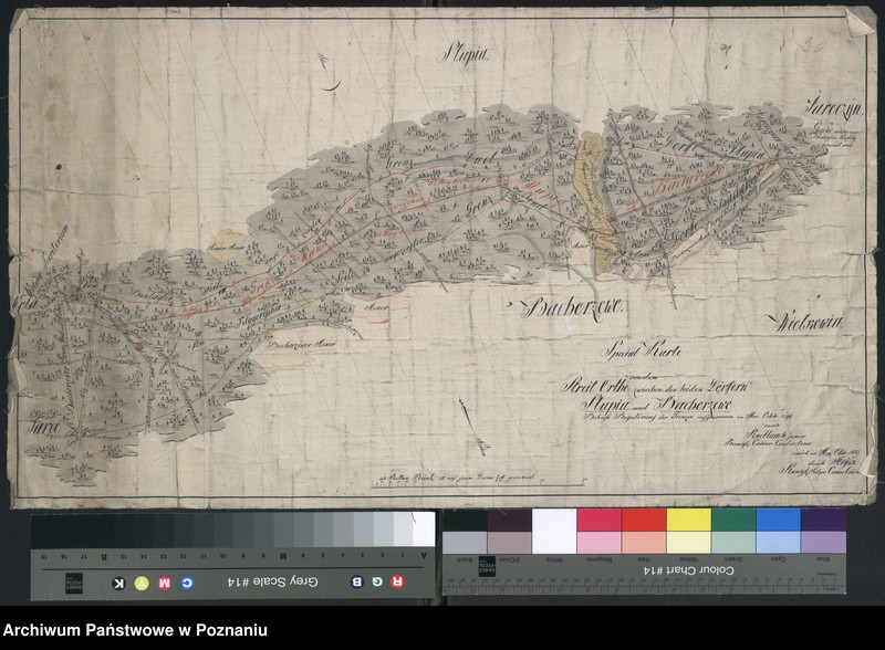 Obraz z jednostki "Special Karte von dem Streit Orthe zwischen den beiden Dörffen Słupia und Bachorzewo behufs regulierung der Grenzen aufgenommen im Monat October 1799"