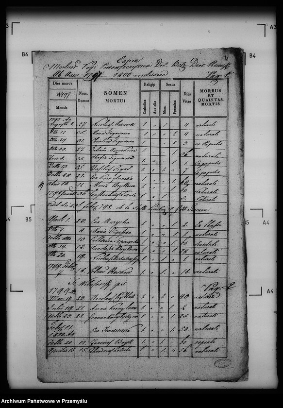 Obraz 8 z jednostki "[Kopie ksiąg metrykalnych parafii Siebieczów z filiami Leszczaków, Piwowszczyzna, Rusin, Wierzbiąż (dekanat Bełz)]"