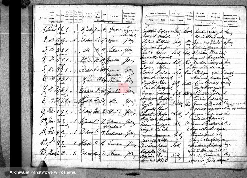 Obraz 6 z jednostki "Liber baptisatorum, copulatorum u. mortuorum"
