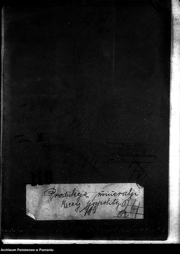Obraz 4 z jednostki "Sprawy Produkcja mineralji Rzeczpospolitej Polski"