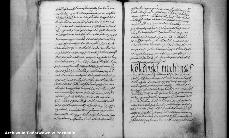 Obraz 18 z jednostki "Inscriptiones [inducta]"