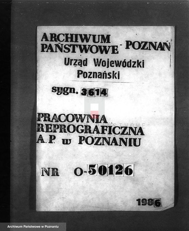 Obraz 1 z jednostki "Zalesienie nieużytków w powiecie mogileńskim"