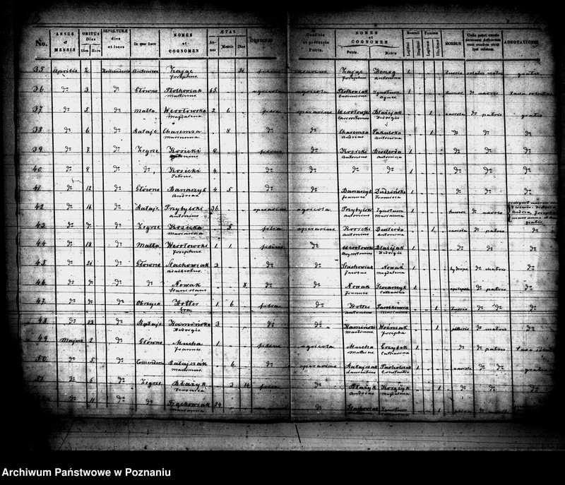 Obraz 4 z jednostki "Księga zgonów"