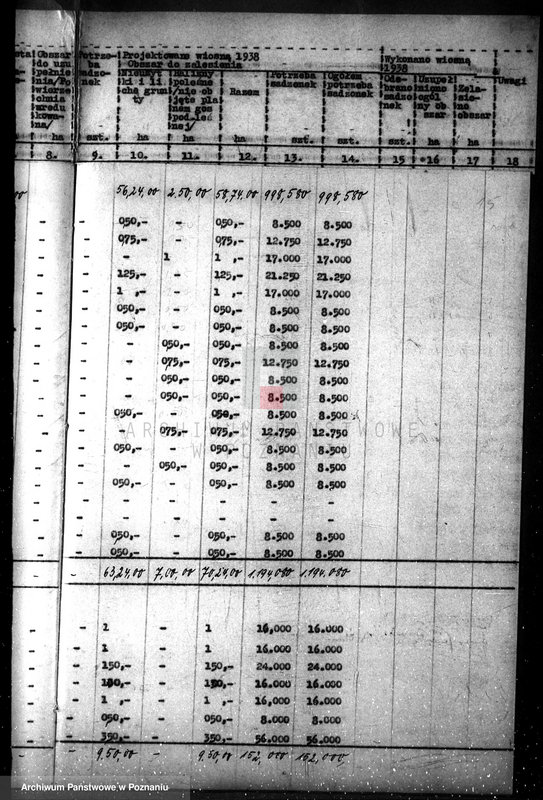 Obraz 19 z jednostki "Plan zalesiania majątków w powiecie czarnkowskim"