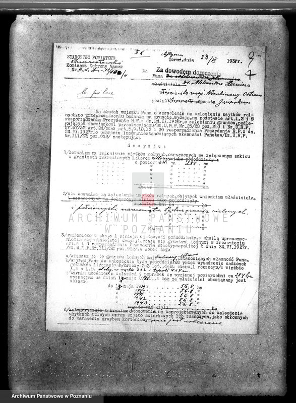 Obraz 13 z jednostki "Majątek Wierzbiczany w powiecie inowrocławskim /nadzór nad gospodarką leśną"