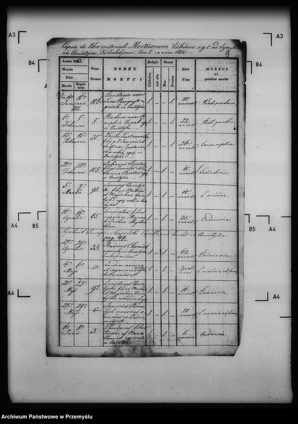 Obraz 13 z jednostki "[Kopie ksiąg metrykalnych parafii Uniatycze (dekanat Drohobycz)]"