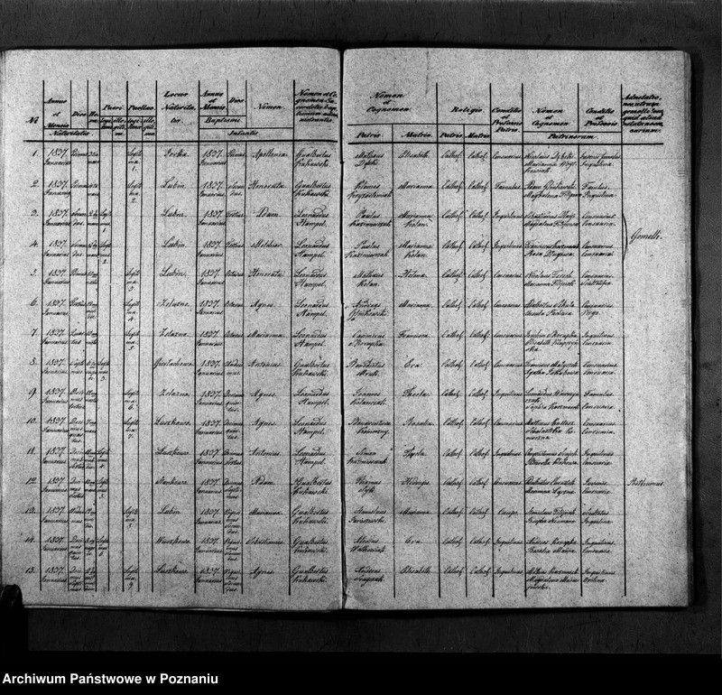 Obraz 12 z jednostki "Duplicatum copulatorum, baptisatorum, mortuorum"