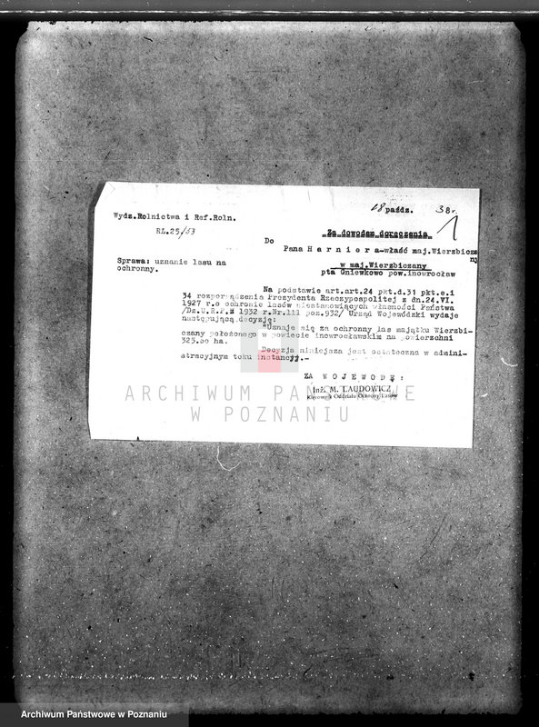 Obraz 5 z jednostki "Majątek Wierzbiczany w powiecie inowrocławskim /nadzór nad gospodarką leśną"