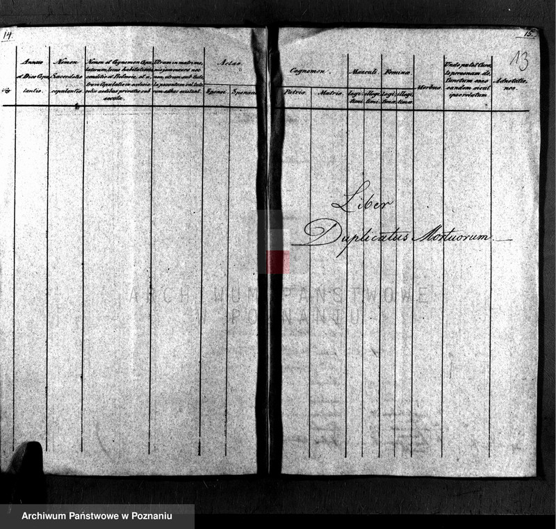 Obraz 8 z jednostki "Liber baptisatorum, copulatorum, mortuorum"