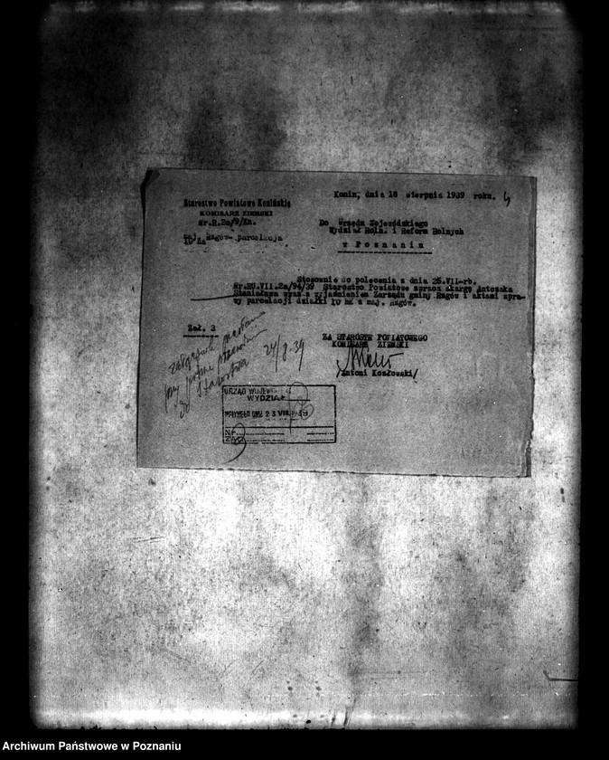 Obraz 8 z jednostki "/Parcelacja majątku w Rzgowie powiatu konińskiego/"