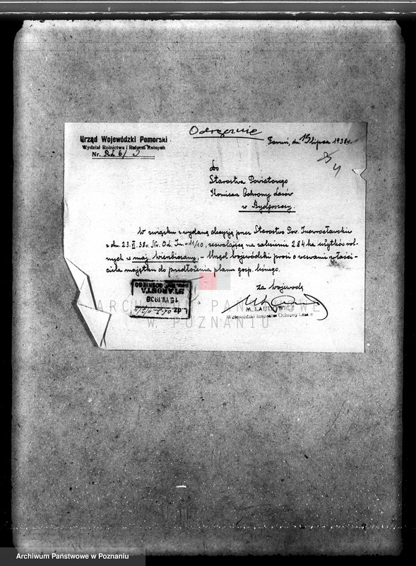 Obraz 8 z jednostki "Majątek Wierzbiczany w powiecie inowrocławskim /nadzór nad gospodarką leśną"