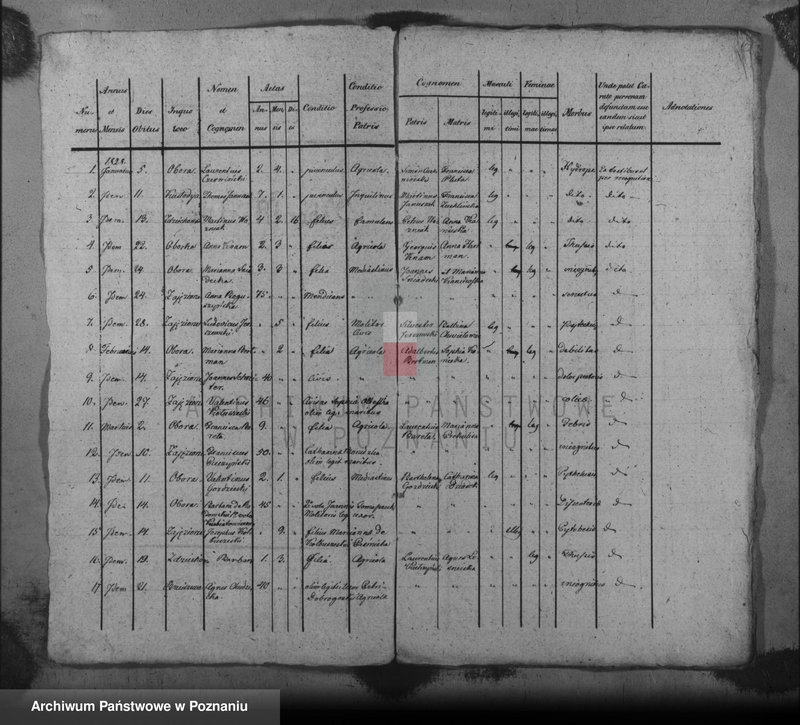 image.from.unit.number "Liber mortuorum"