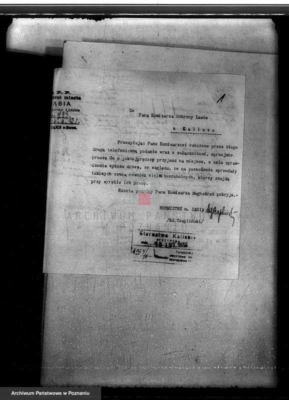 Obraz 5 z jednostki "Lasy miasta Dąbie powiatu kolskiego"