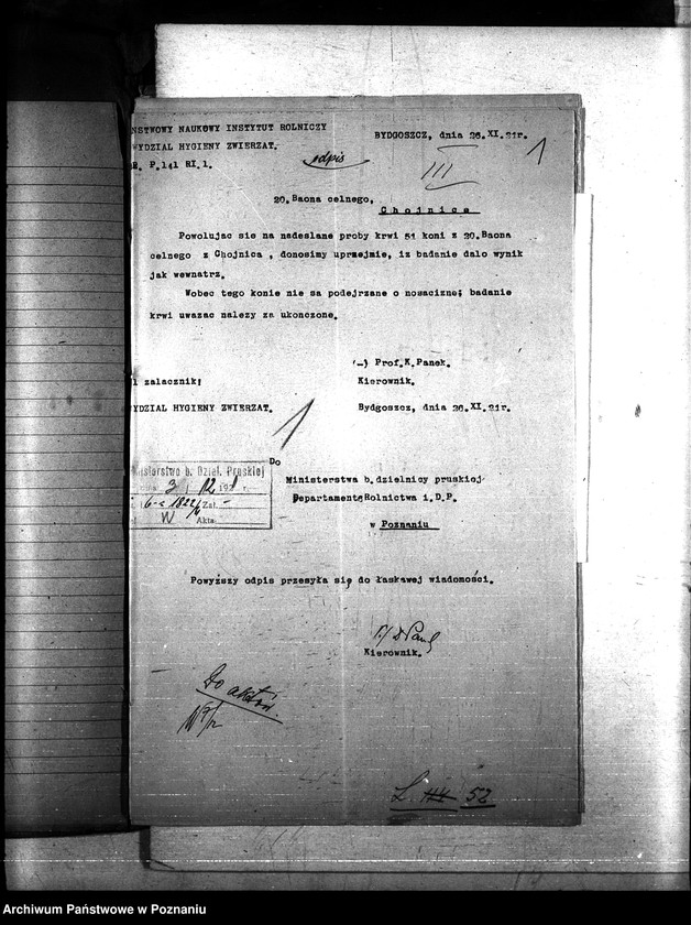 Obraz 5 z jednostki "Nosacizna - Chojnice"