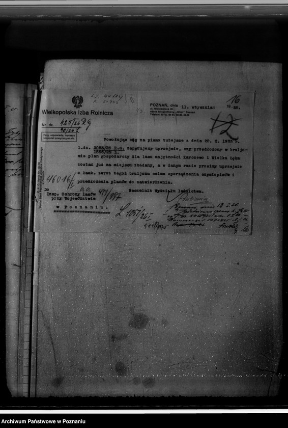 Obraz 20 z jednostki "Majętność leśna Karczewo powiat kościański"